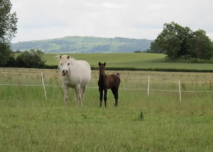 Bluebell Farm